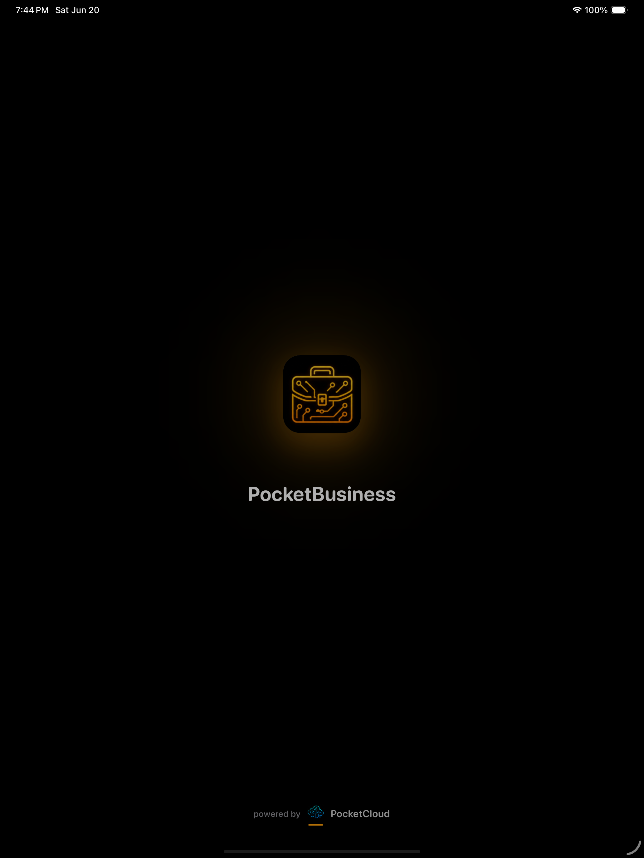 iPad screenshot