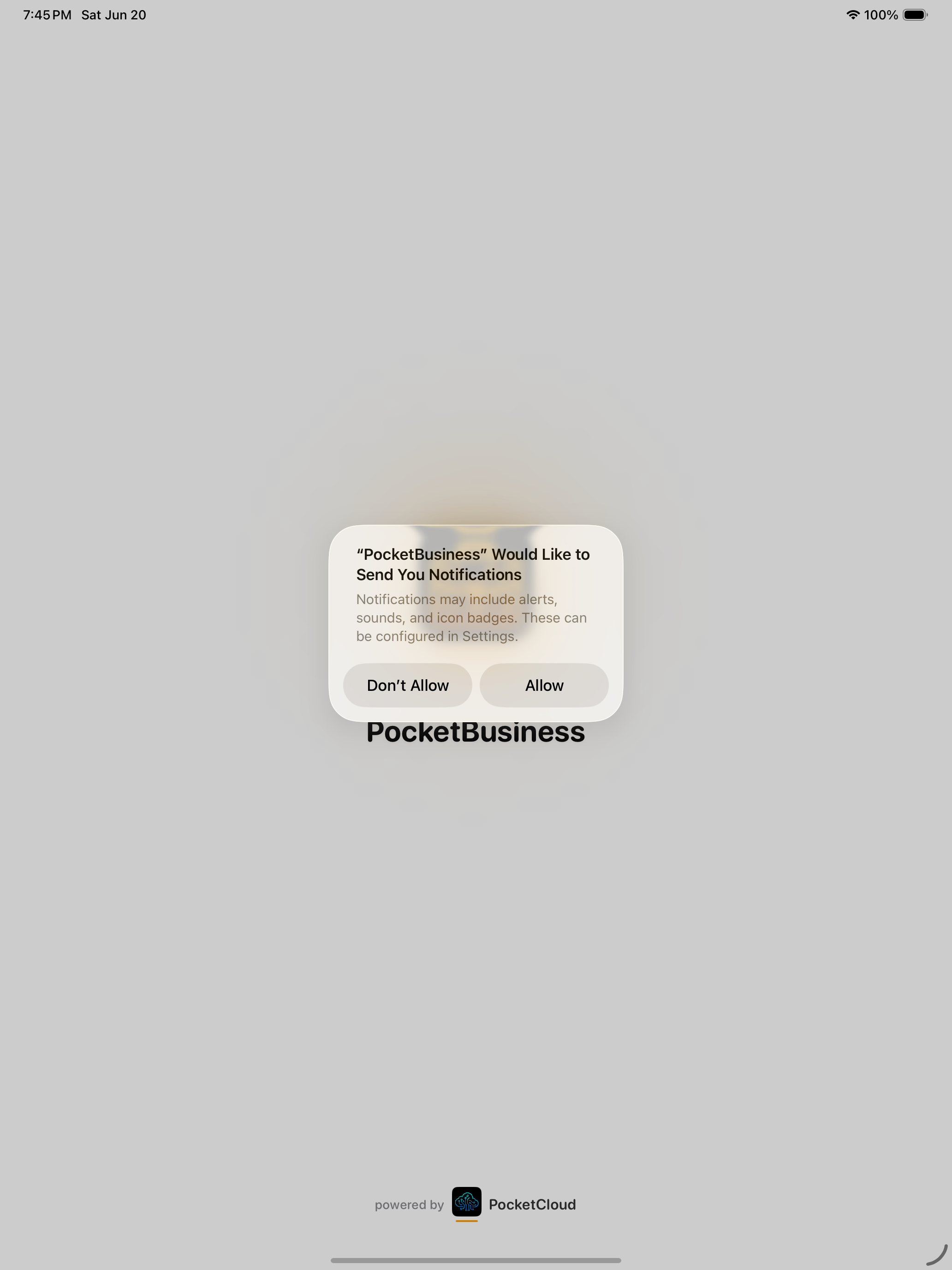 iPad screenshot
