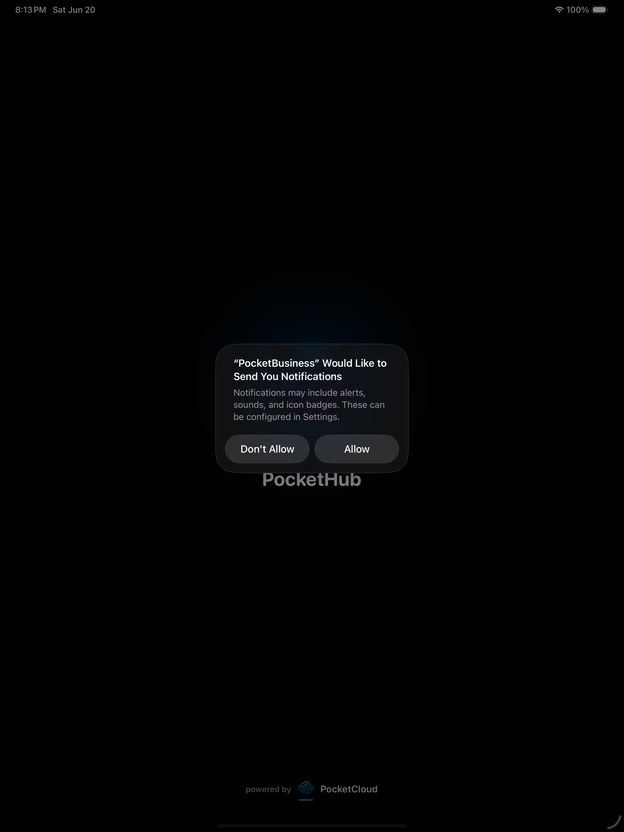 iPad screenshot