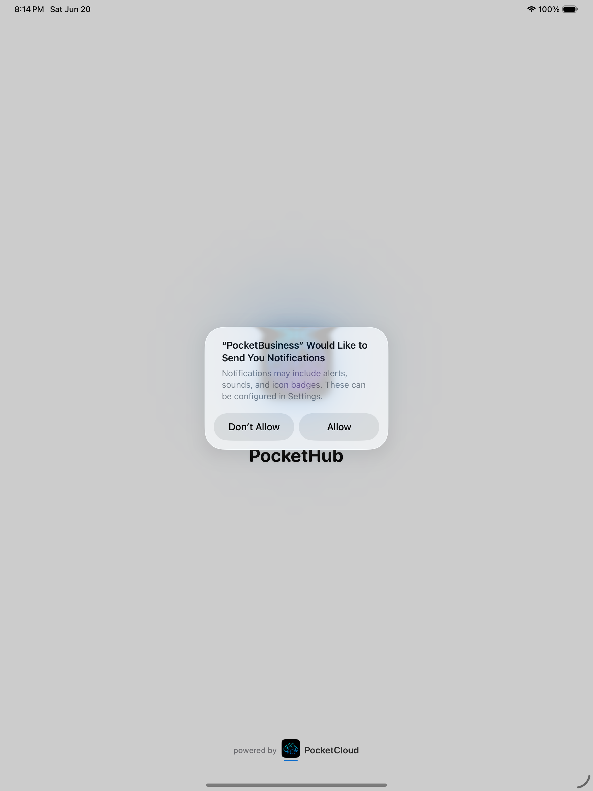 iPad screenshot