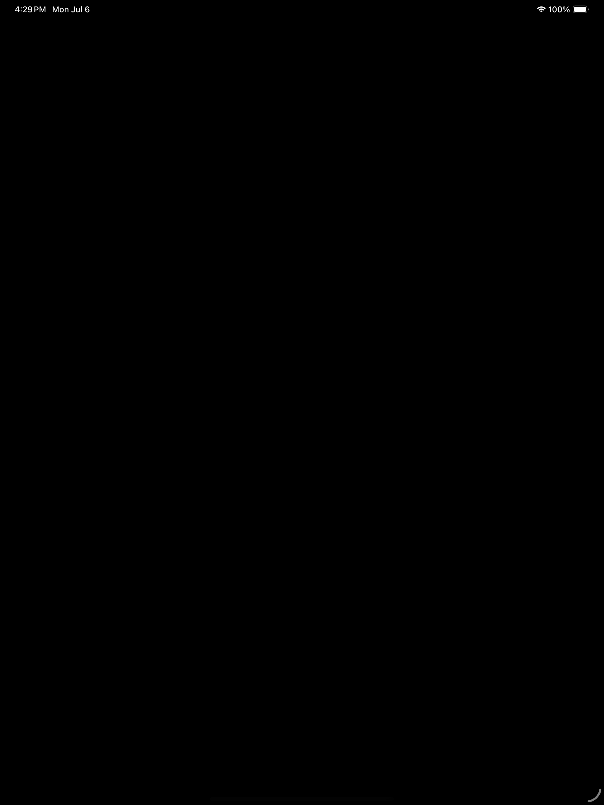 iPad screenshot